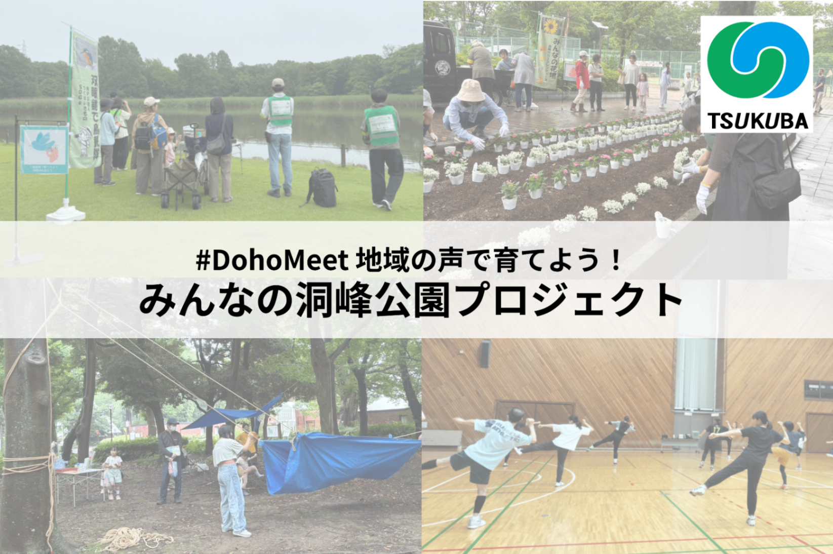 洞峰公園プロジェクトカバー画像.png