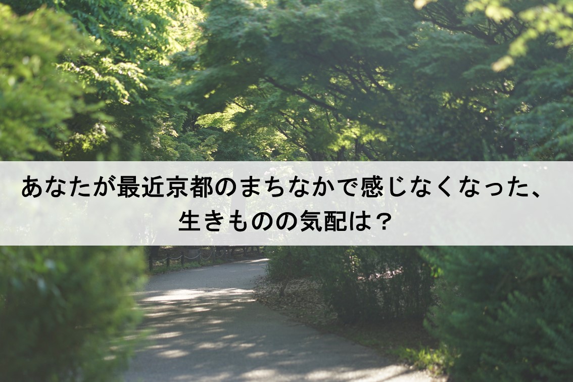 意見募集.jpg